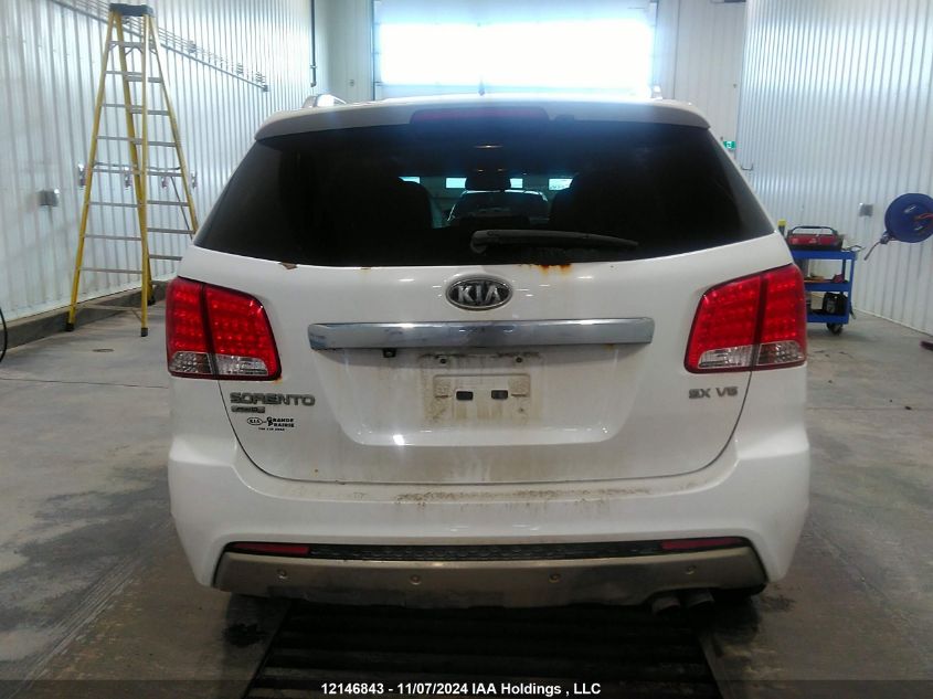 2013 Kia Sorento VIN: 5XYKWDA27DG316901 Lot: 12146843