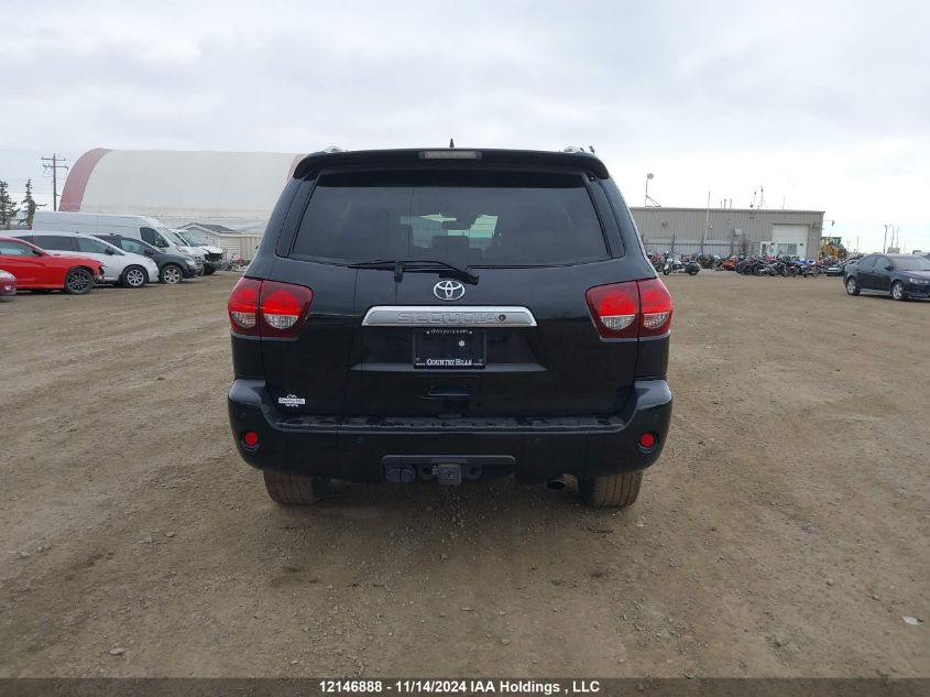 2019 Toyota Sequoia Platinum VIN: 5TDDY5G17KS168904 Lot: 12146888