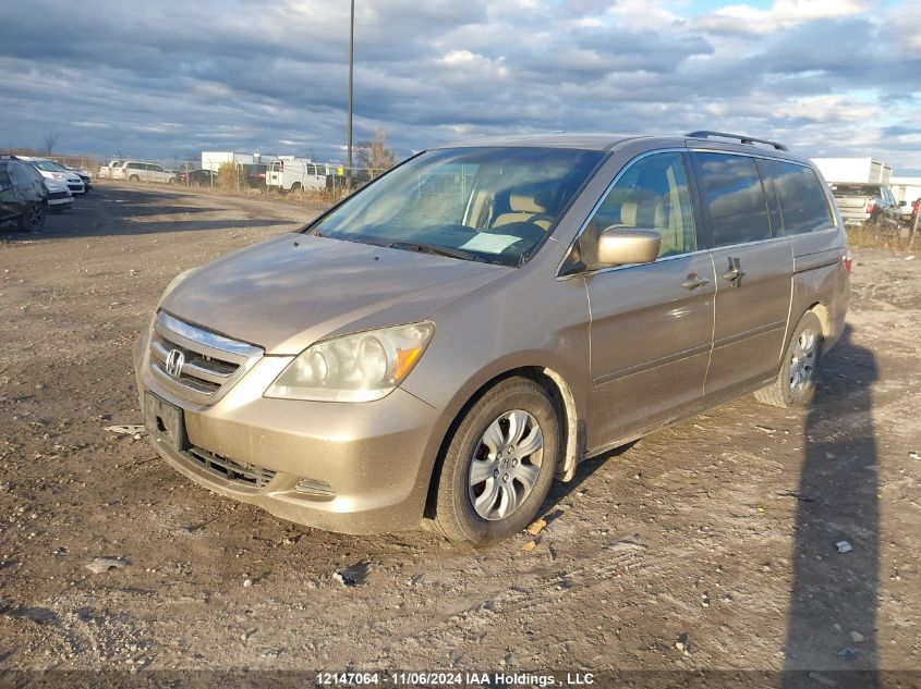 2007 Honda Odyssey VIN: 5FNRL38417B501935 Lot: 12147064