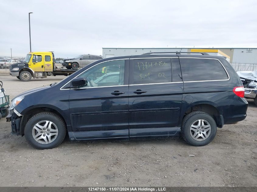 2007 Honda Odyssey VIN: 5FNRL38667B502709 Lot: 12147150