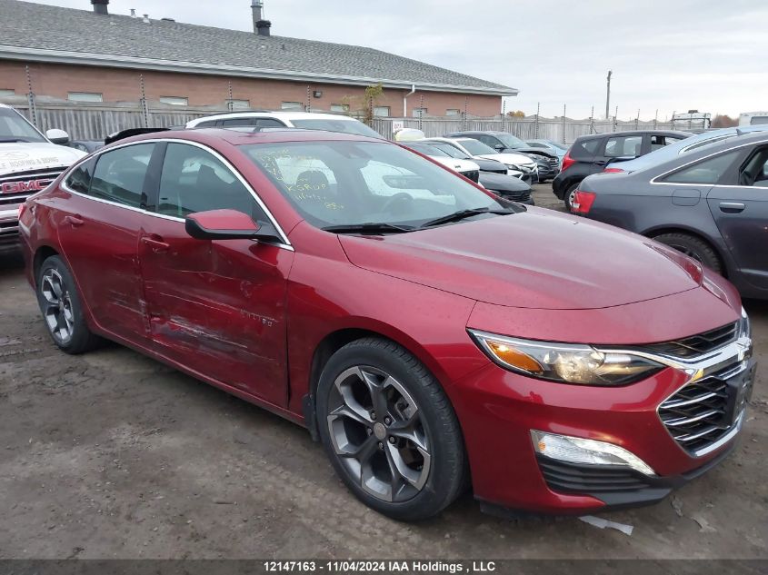 2021 Chevrolet Malibu VIN: 1G1ZD5ST3MF036194 Lot: 12147163