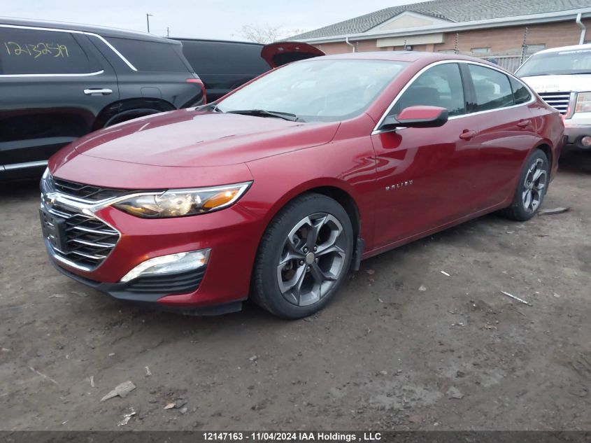 2021 Chevrolet Malibu VIN: 1G1ZD5ST3MF036194 Lot: 12147163