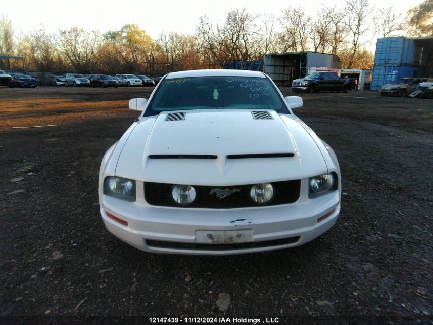 2007 Ford Mustang VIN: 1ZVFT80N375260981 Lot: 12147439