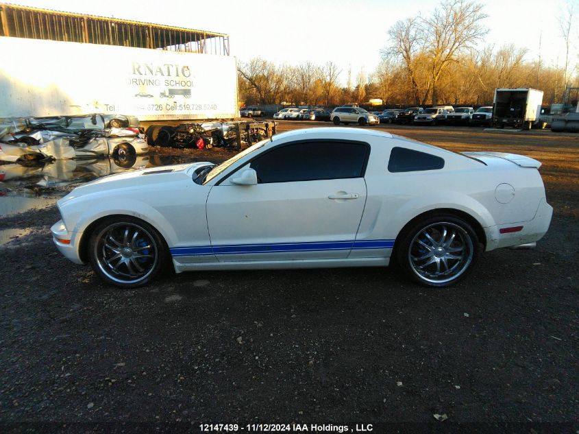 2007 Ford Mustang VIN: 1ZVFT80N375260981 Lot: 12147439