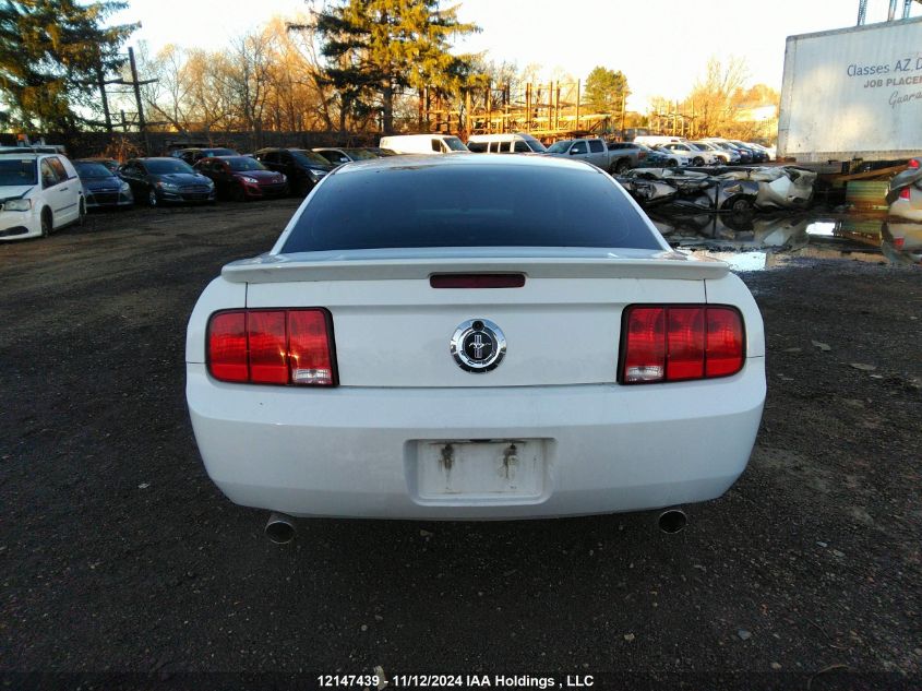 2007 Ford Mustang VIN: 1ZVFT80N375260981 Lot: 12147439