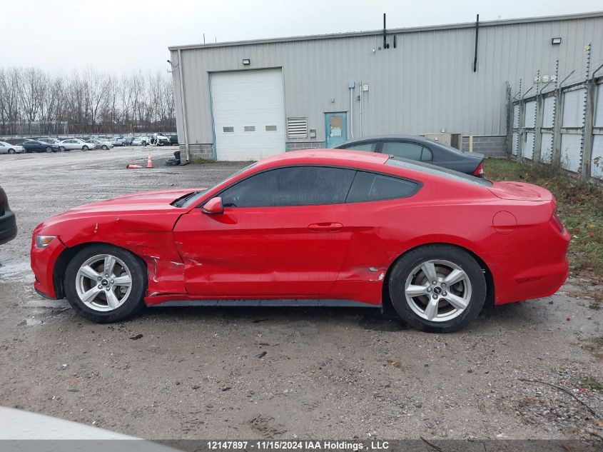 2017 Ford Mustang VIN: 1FA6P8AMXH5303491 Lot: 12147897