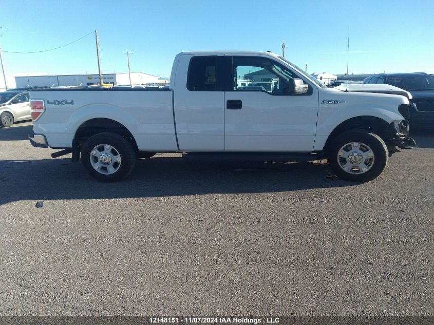 2012 Ford F-150 Xlt VIN: 1FTFX1EF7CFA50307 Lot: 12148151