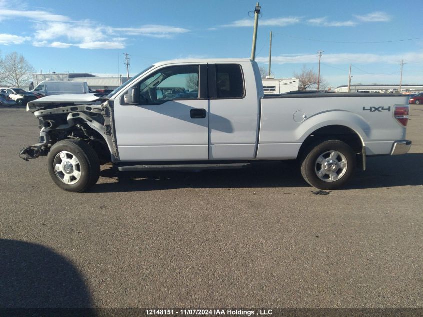 2012 Ford F-150 Xlt VIN: 1FTFX1EF7CFA50307 Lot: 12148151