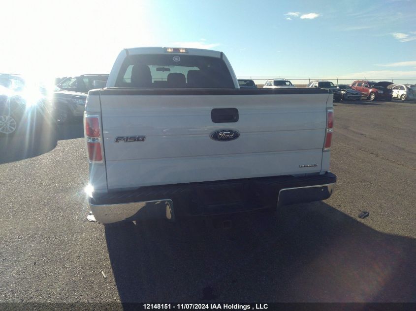 2012 Ford F-150 Xlt VIN: 1FTFX1EF7CFA50307 Lot: 12148151