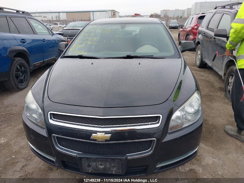 2011 Chevrolet Malibu VIN: 1G1ZB5EU5BF395733 Lot: 12149239