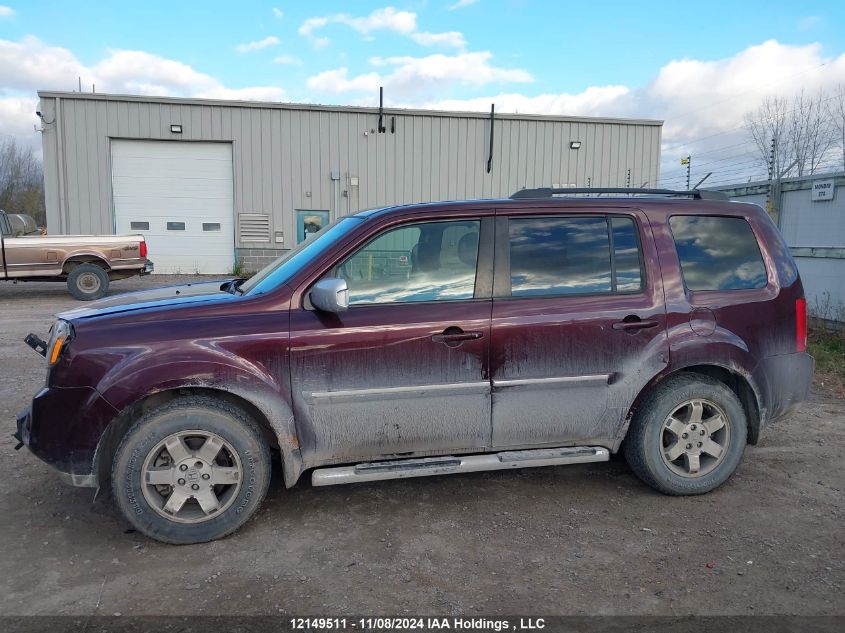 2010 Honda Pilot VIN: 5FNYF4H98AB503564 Lot: 12149511