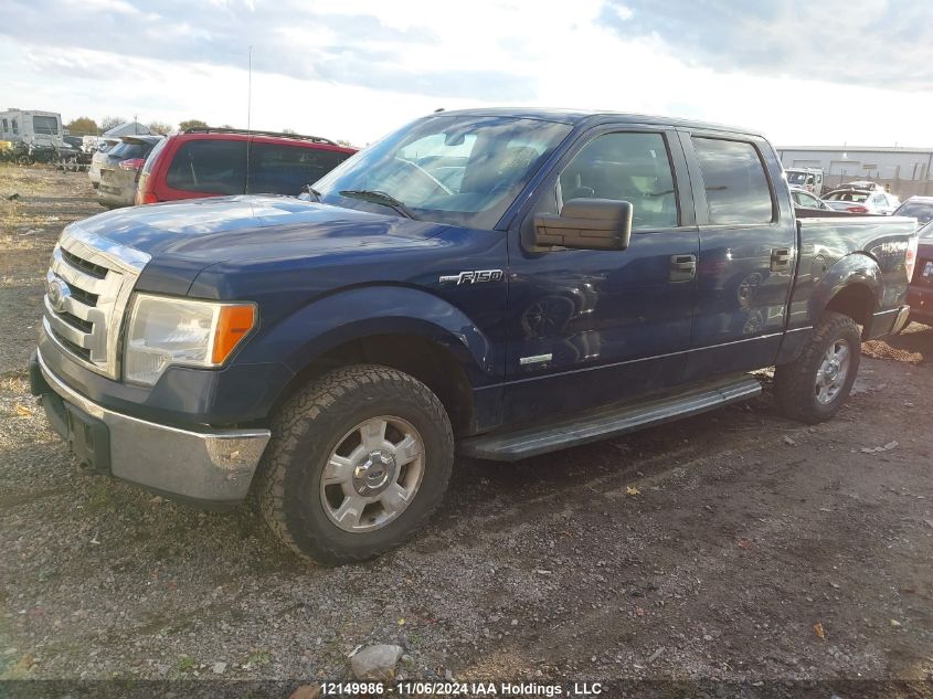 2011 Ford F150 Supercrew VIN: 1FTFW1ET5BFB06445 Lot: 12149986