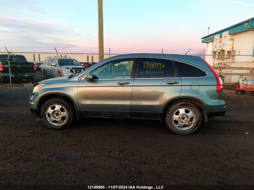 2010 Honda Cr-V Exl VIN: 5J6RE4H74AL802983 Lot: 12149990