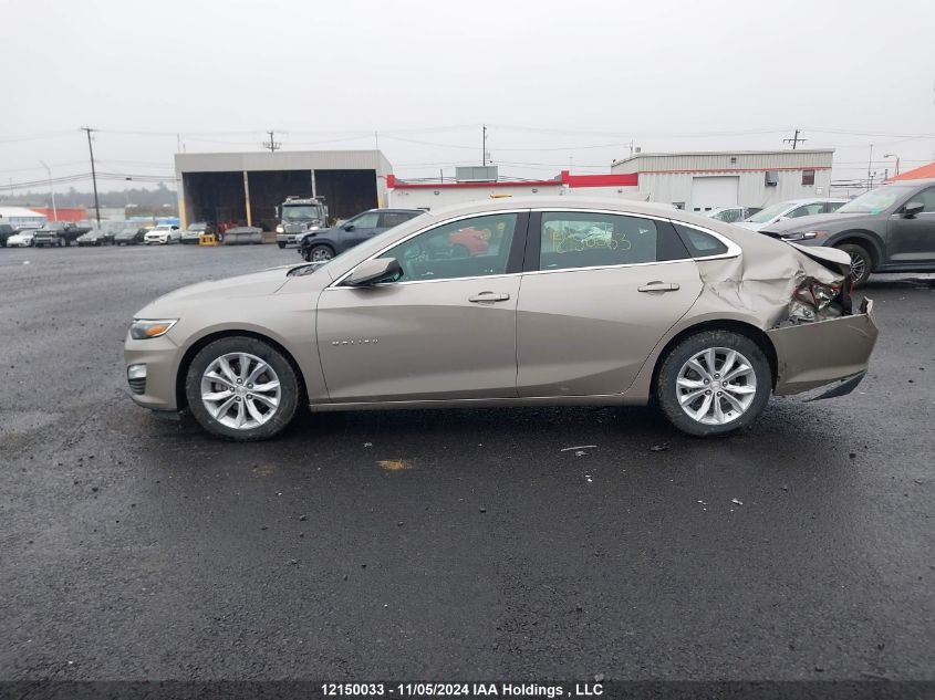 2023 Chevrolet Malibu VIN: 1G1ZD5ST5PF236675 Lot: 12150033