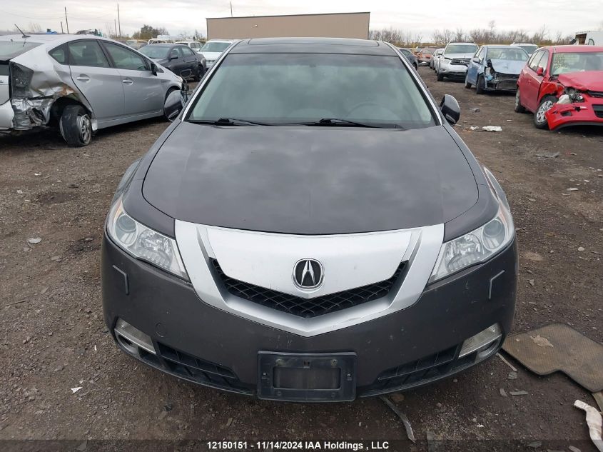 2010 Acura Tl VIN: 19UUA9F50AA800266 Lot: 12150151