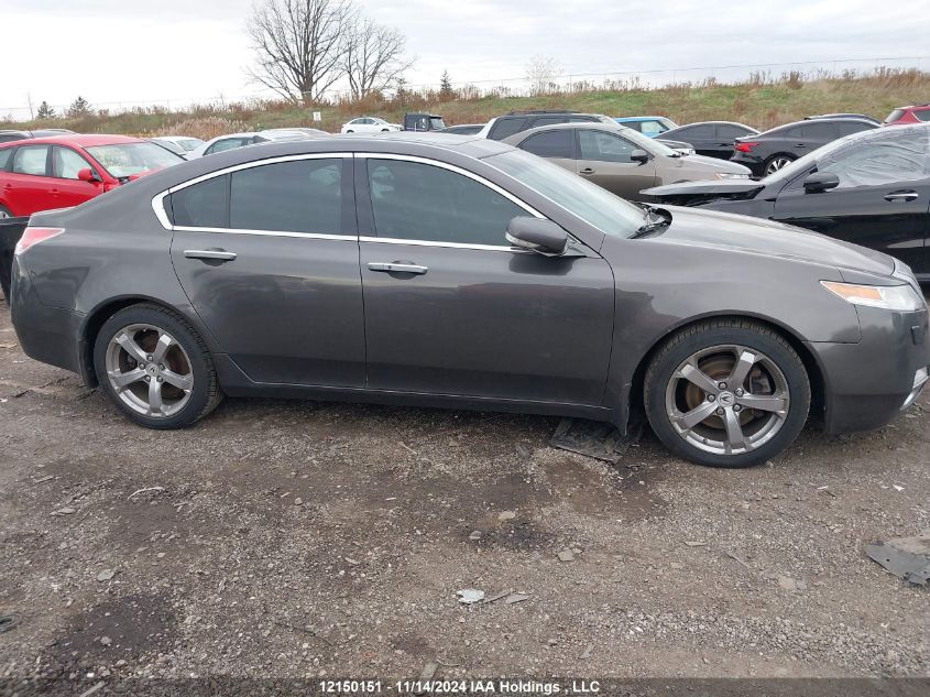 2010 Acura Tl VIN: 19UUA9F50AA800266 Lot: 12150151