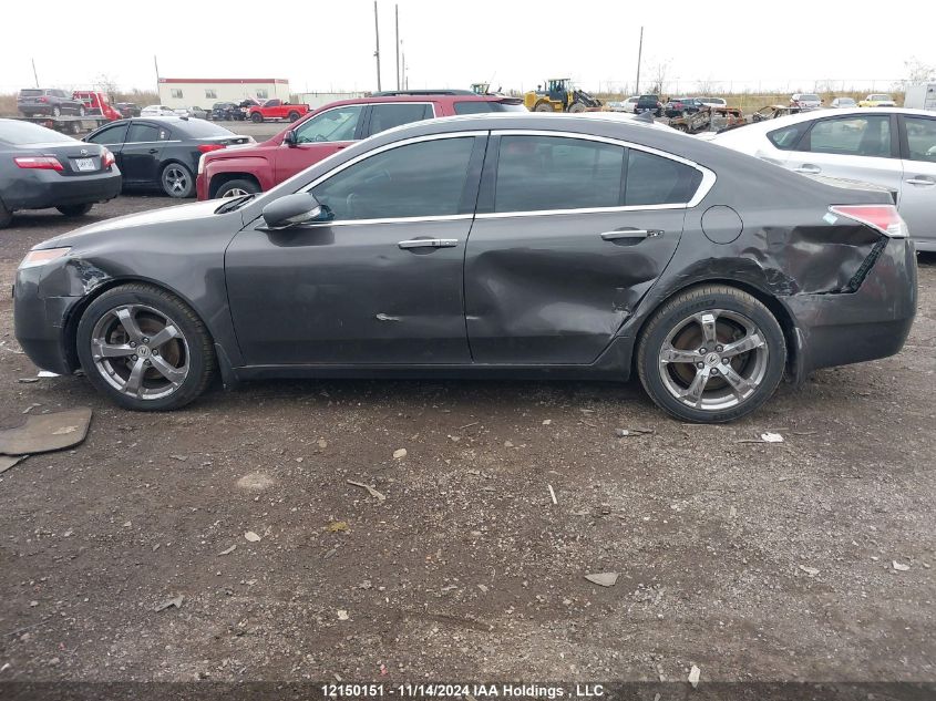 2010 Acura Tl VIN: 19UUA9F50AA800266 Lot: 12150151