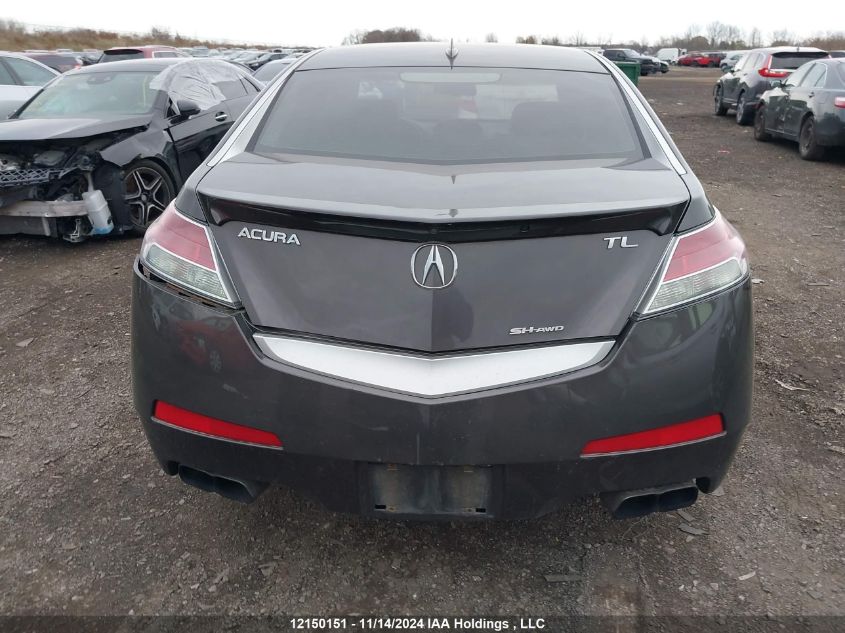 2010 Acura Tl VIN: 19UUA9F50AA800266 Lot: 12150151