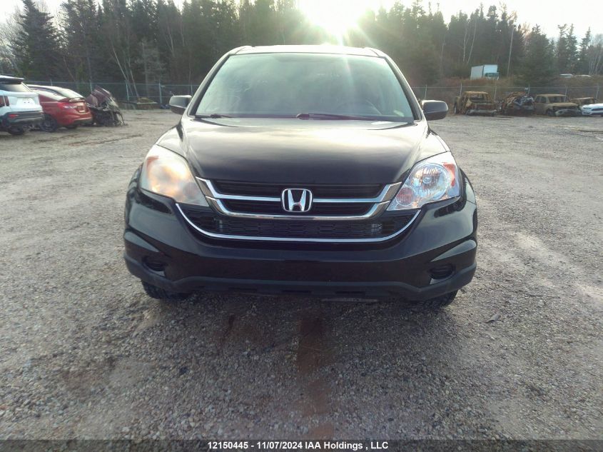 2010 Honda Cr-V VIN: 5J6RE4H54AL813500 Lot: 12150445