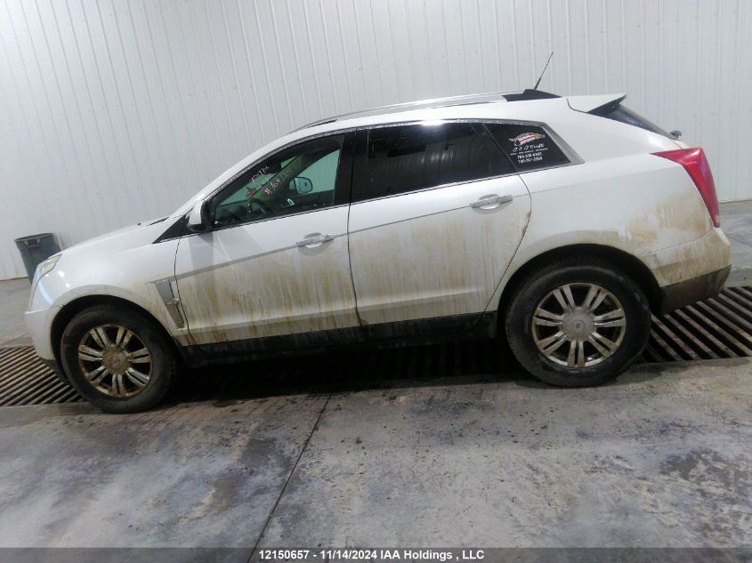 2011 Cadillac Srx Luxury Collection VIN: 3GYFNDEY5BS514711 Lot: 12150657