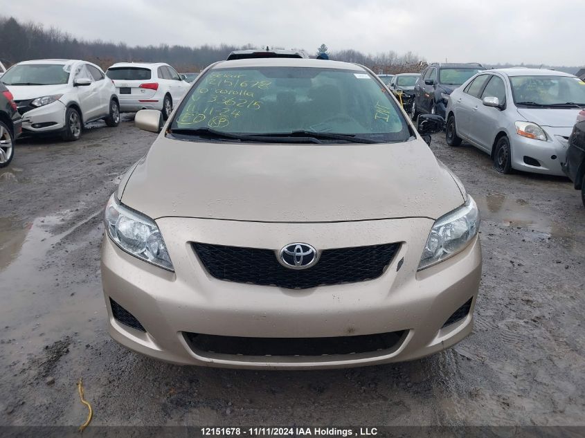 2010 Toyota Corolla VIN: 2T1BU4EE0AC336215 Lot: 12151678