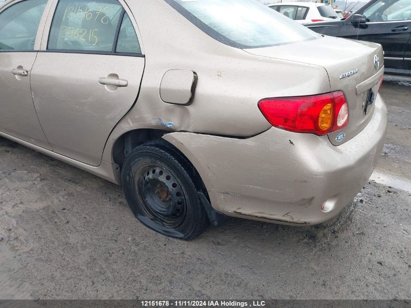 2010 Toyota Corolla VIN: 2T1BU4EE0AC336215 Lot: 12151678