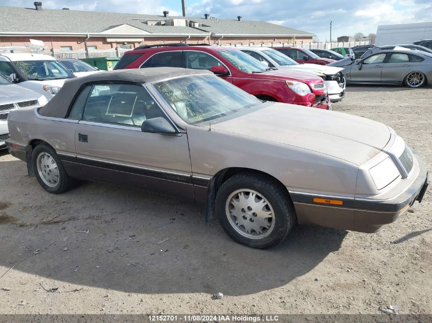 1988 Chrysler Lebaron VIN: IC3BJ45E5JG38I875 Lot: 12152701