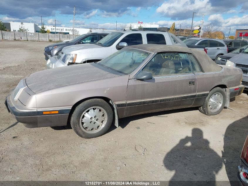 1988 Chrysler Lebaron VIN: IC3BJ45E5JG38I875 Lot: 12152701