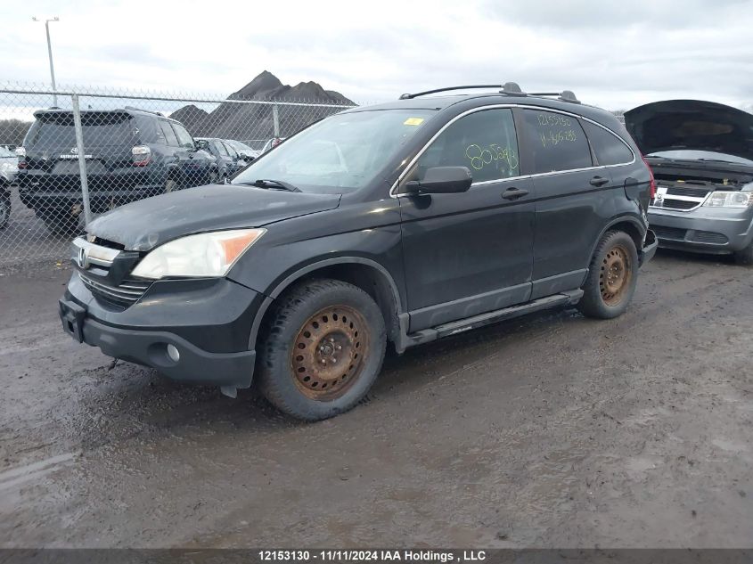 2007 Honda Cr-V VIN: 5J6RE48567L805293 Lot: 12153130