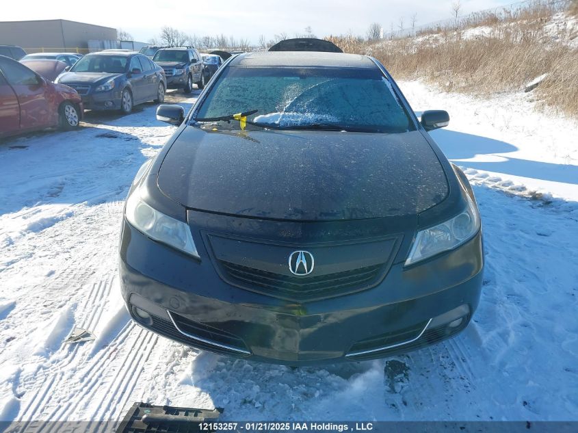 2014 Acura Tl VIN: 19UUA8F29EA800062 Lot: 12153257