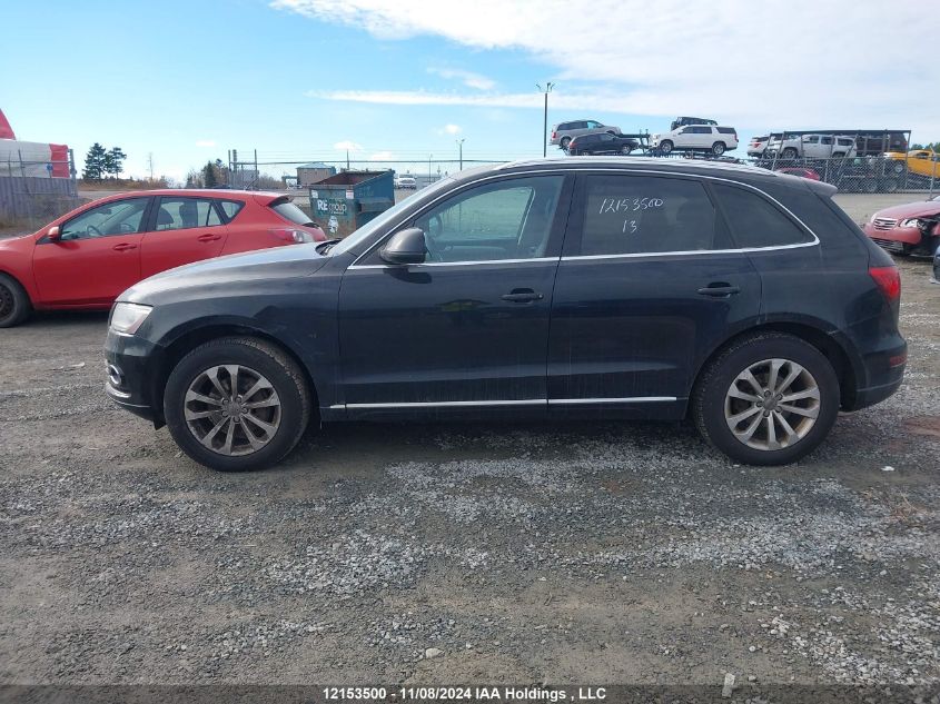 2013 Audi Q5 Premium Plus VIN: WA1VFCFP6DA006941 Lot: 12153500