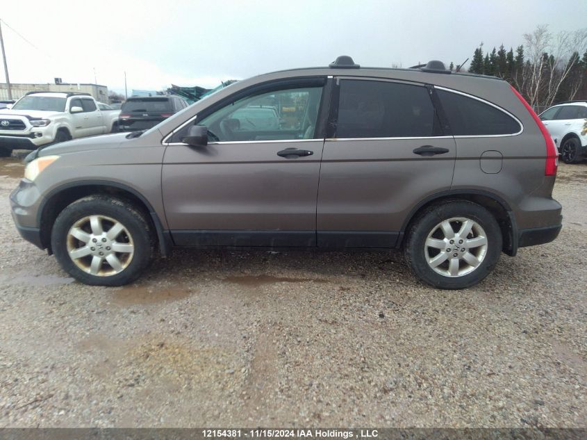 2010 Honda Cr-V VIN: 5J6RE4H31AL807832 Lot: 12154381