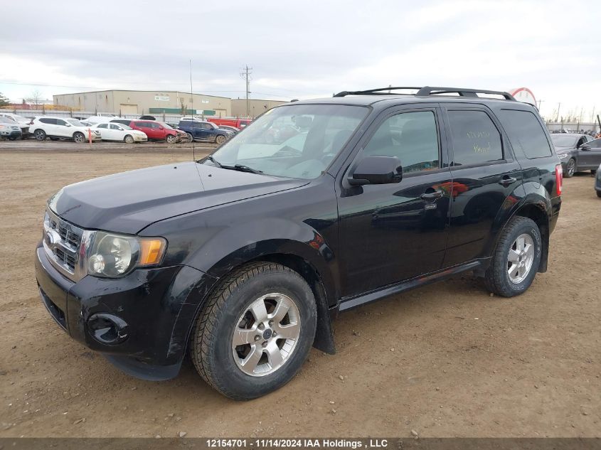 2010 Ford Escape Xlt VIN: 1FMCU9DG9AKB25917 Lot: 12154701