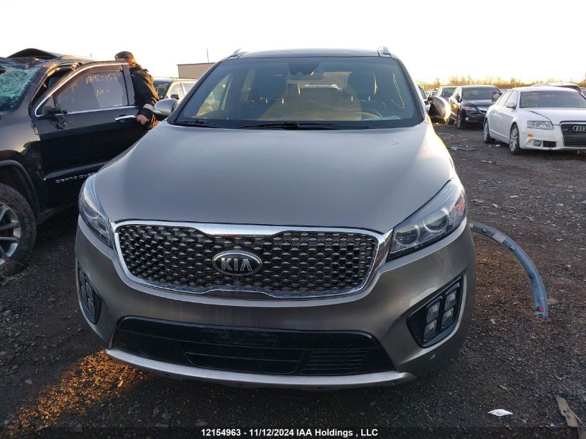 2017 Kia Sorento VIN: 5XYPKDA51HG309413 Lot: 12154963