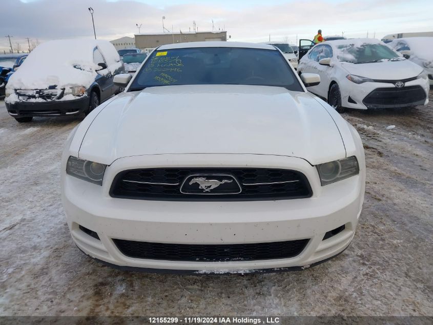 2013 Ford Mustang VIN: 1ZVBP8AM5D5222446 Lot: 12155299