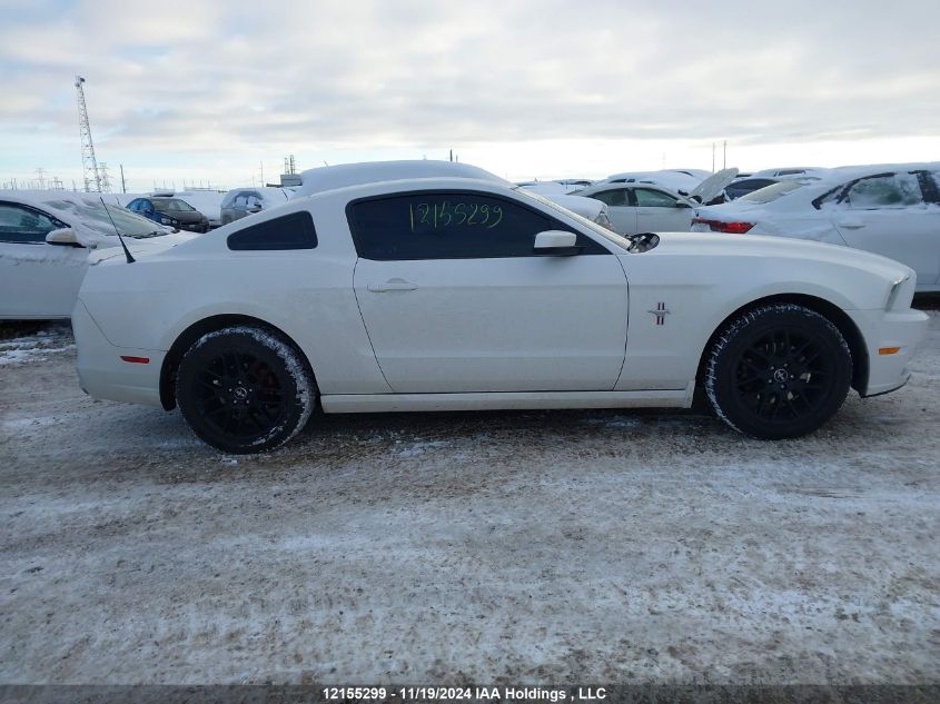 2013 Ford Mustang VIN: 1ZVBP8AM5D5222446 Lot: 12155299