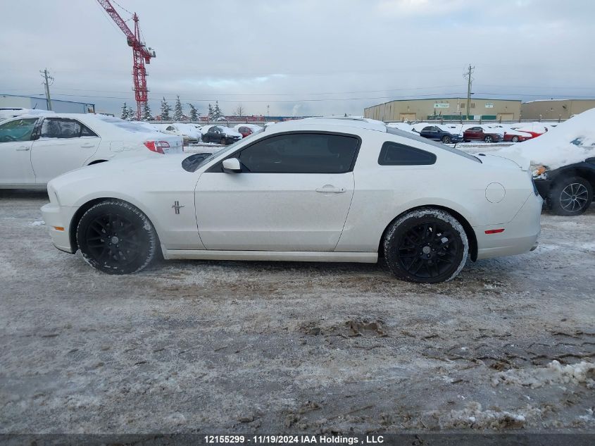 2013 Ford Mustang VIN: 1ZVBP8AM5D5222446 Lot: 12155299