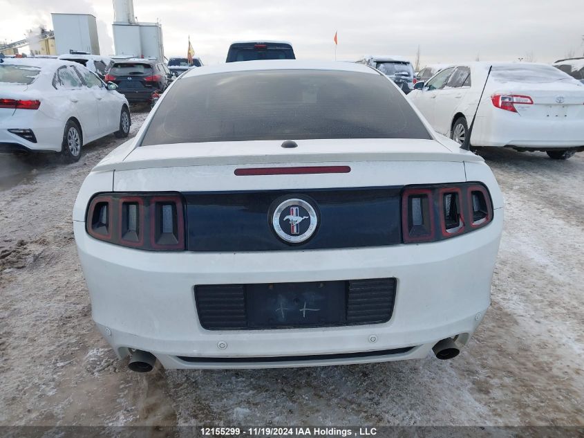 2013 Ford Mustang VIN: 1ZVBP8AM5D5222446 Lot: 12155299