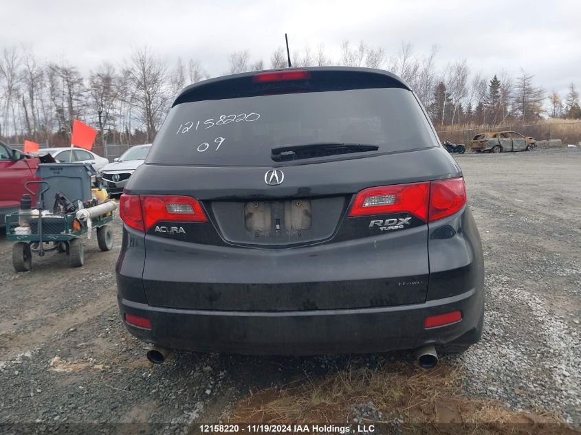 2009 Acura Rdx VIN: 5J8TB18209A800213 Lot: 12158220