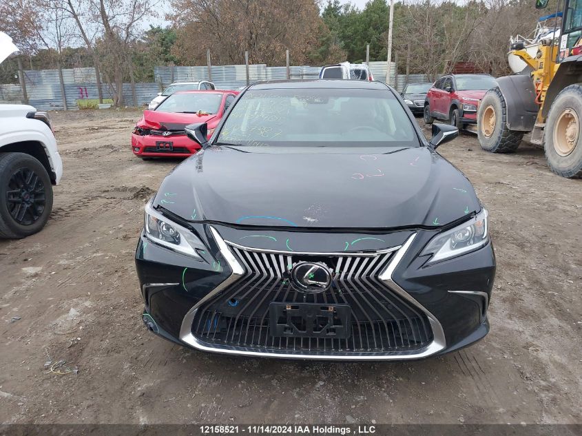 2021 Lexus Es 250 VIN: 58AB11D14MU007387 Lot: 12158521