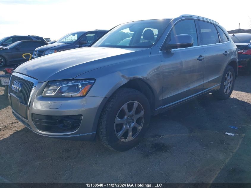 2011 Audi Q5 Premium Plus VIN: WA1LFAFP5BA007250 Lot: 12158548