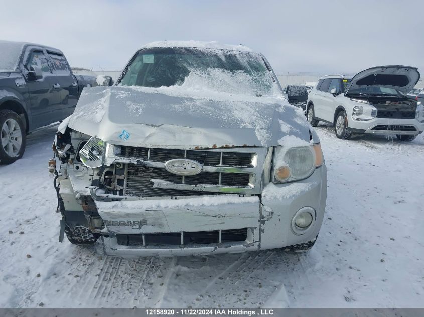 2011 Ford Escape Xlt VIN: 1FMCU0D77BKC20389 Lot: 12158920