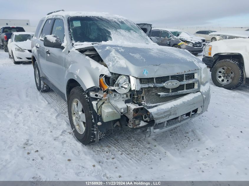 2011 Ford Escape Xlt VIN: 1FMCU0D77BKC20389 Lot: 12158920