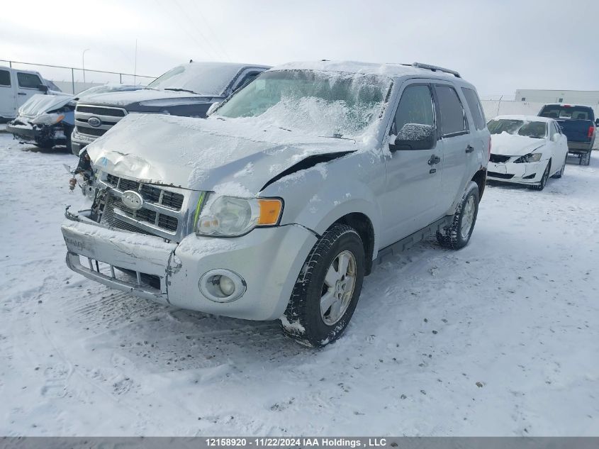 2011 Ford Escape Xlt VIN: 1FMCU0D77BKC20389 Lot: 12158920