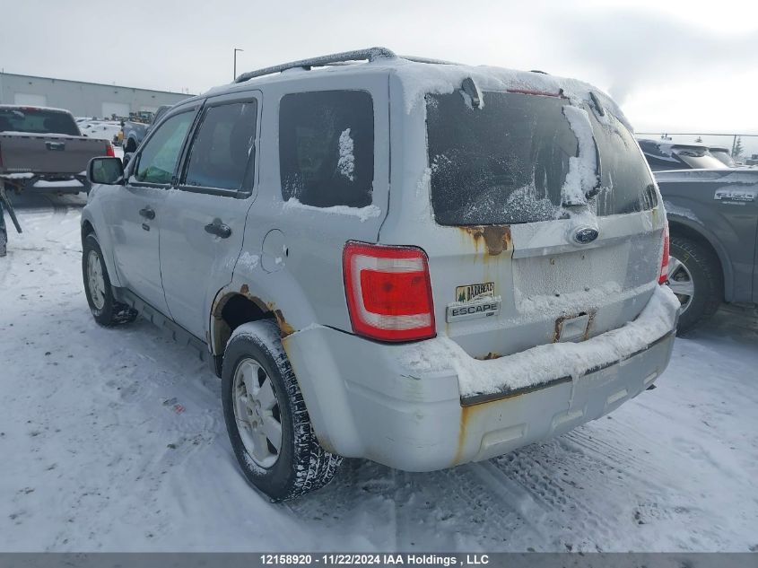 2011 Ford Escape Xlt VIN: 1FMCU0D77BKC20389 Lot: 12158920