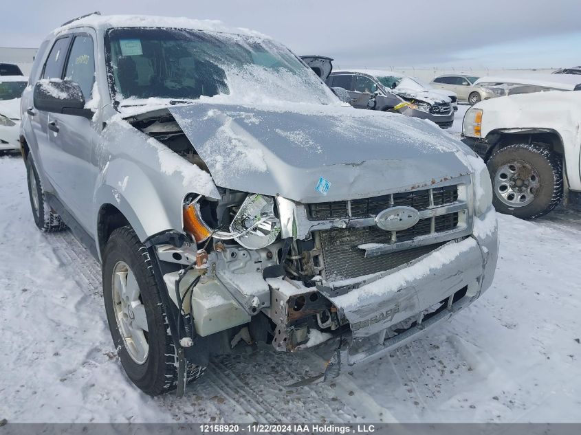 2011 Ford Escape Xlt VIN: 1FMCU0D77BKC20389 Lot: 12158920