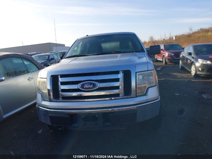 2010 Ford F-150 VIN: 1FTFW1EV5AFB31569 Lot: 12159071