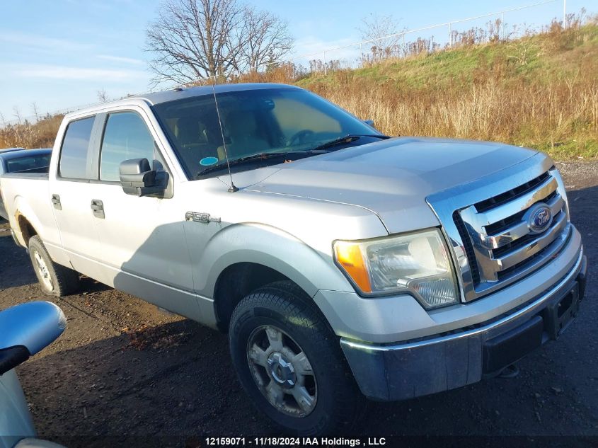 2010 Ford F-150 VIN: 1FTFW1EV5AFB31569 Lot: 12159071