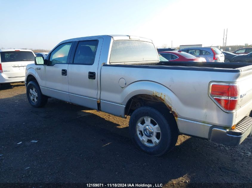 2010 Ford F-150 VIN: 1FTFW1EV5AFB31569 Lot: 12159071