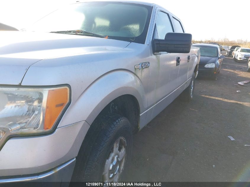 2010 Ford F-150 VIN: 1FTFW1EV5AFB31569 Lot: 12159071